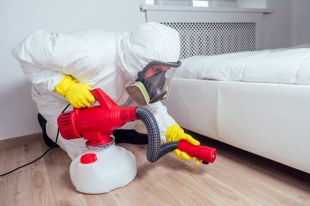 Pest Prevention Services in Grayslake, IL